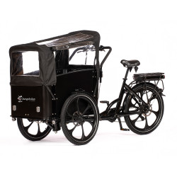 Cargobike Flex 2