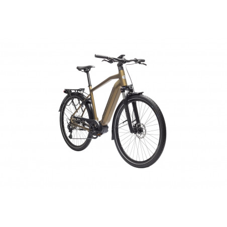 Crescent Elder 20S 10-vxl