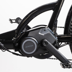 Cargobike Delight Ananda 16Ah 2