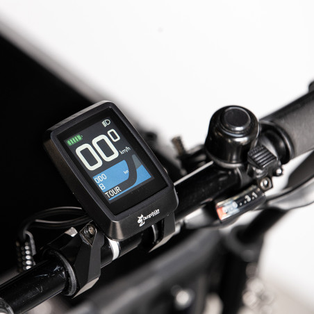 Cargobike Delight Ananda 16Ah