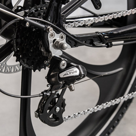 Cargobike Delight Ananda 16Ah