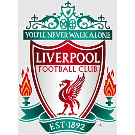 Skärmdekaler Fotboll ca 40x40 mm