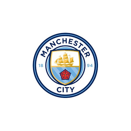 Skärmdekaler Fotboll ca 40x40 mm