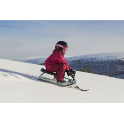 Snowracer Iconic BOB Orginal Stiga 2