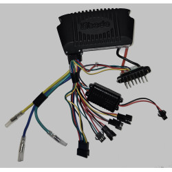 Kontrollenhet till e-motion Comfort 2016- ,36V Wave sine