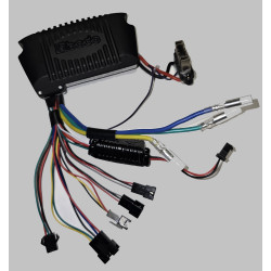 KONTROLLENHET TILL E-MOTION LITE 2016 36V