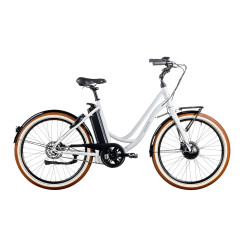 Ambassador AXS H-SS 26 | Vit |