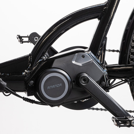 Cargobike Delight Ananda 16Ah