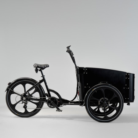 Cargobike Delight Ananda 16Ah