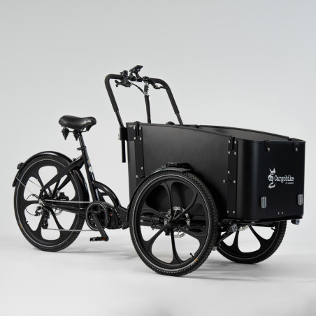 Cargobike Delight Ananda 16Ah