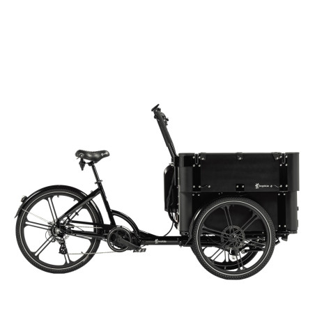 Cargobike Delight Kindergarten