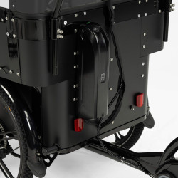 Cargobike Delight Kindergarten 2