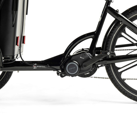 Cargobike Delight Kindergarten