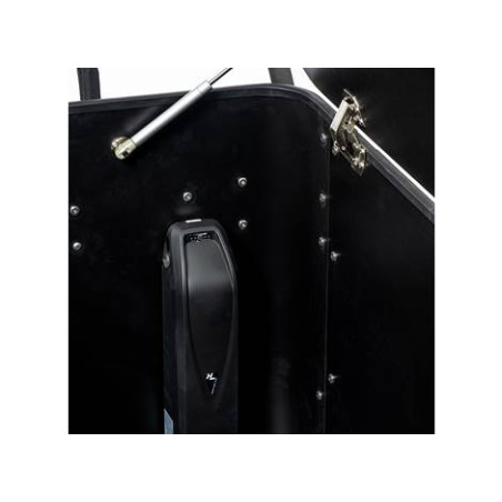 Cargobike Box Delight