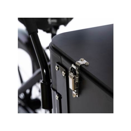 Cargobike Box Delight