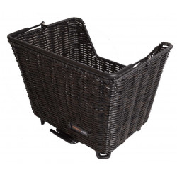 Korg Picnic Rotting AVS 2