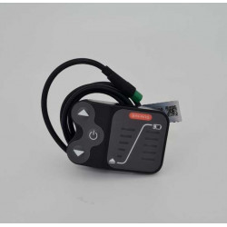 Display Led EGOING Canbus